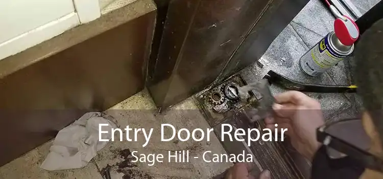 Entry Door Repair Sage Hill - Canada