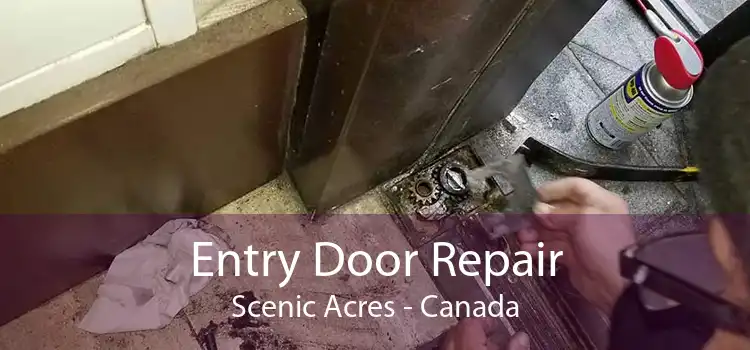 Entry Door Repair Scenic Acres - Canada