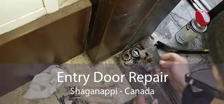 Entry Door Repair Shaganappi - Canada
