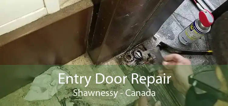 Entry Door Repair Shawnessy - Canada