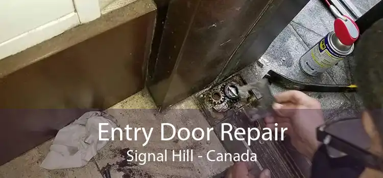 Entry Door Repair Signal Hill - Canada