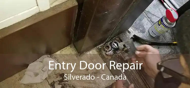 Entry Door Repair Silverado - Canada