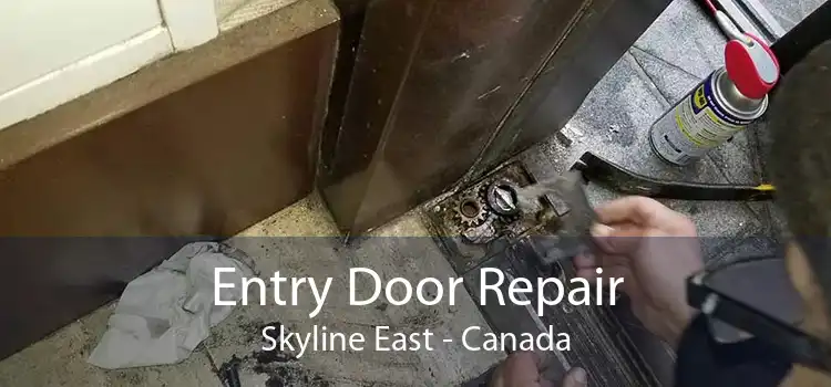 Entry Door Repair Skyline East - Canada