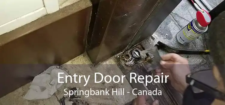 Entry Door Repair Springbank Hill - Canada
