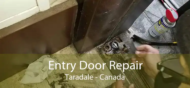 Entry Door Repair Taradale - Canada