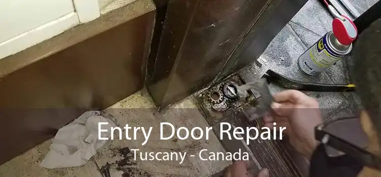 Entry Door Repair Tuscany - Canada