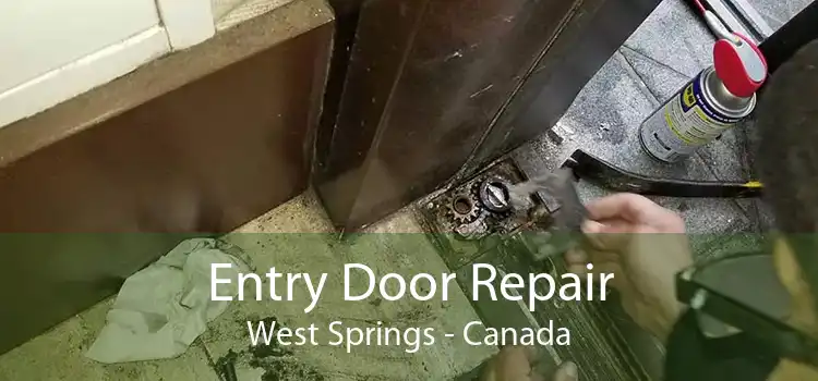 Entry Door Repair West Springs - Canada