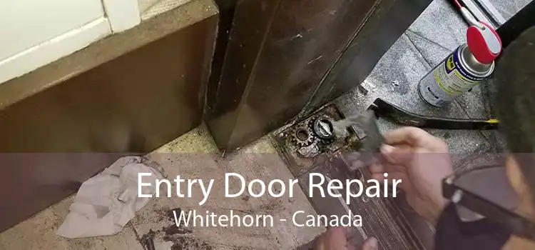 Entry Door Repair Whitehorn - Canada