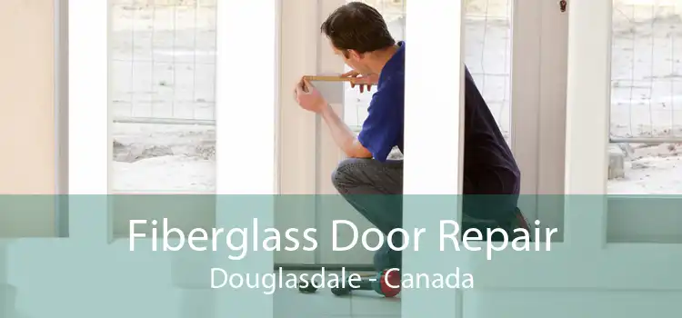 Fiberglass Door Repair Douglasdale - Canada