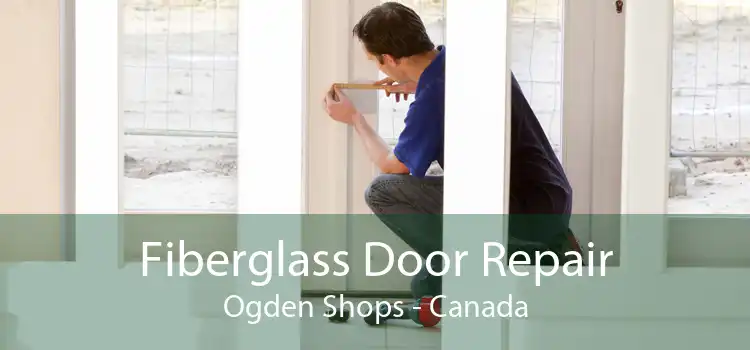 Fiberglass Door Repair Ogden Shops - Canada