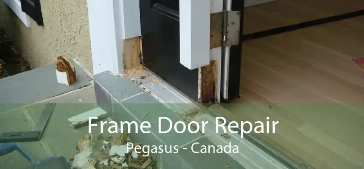 Frame Door Repair Pegasus - Canada