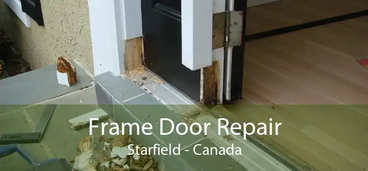 Frame Door Repair Starfield - Canada