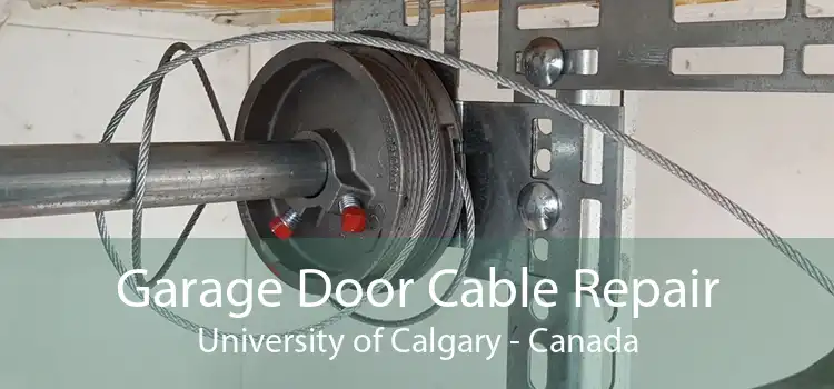 Garage Door Cable Repair University of Calgary - Canada