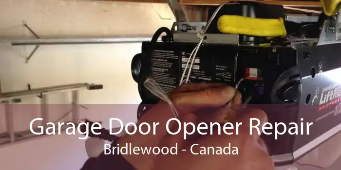 Garage Door Opener Repair Bridlewood - Canada