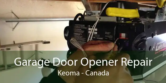 Garage Door Opener Repair Keoma - Canada