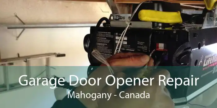 Garage Door Opener Repair Mahogany - Canada