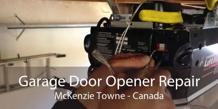 Garage Door Opener Repair McKenzie Towne - Canada