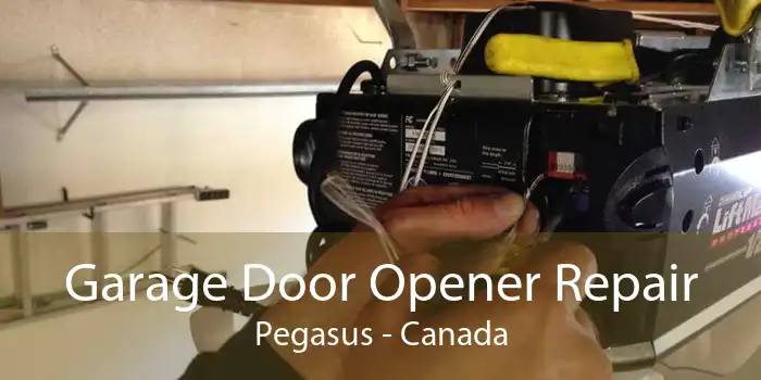 Garage Door Opener Repair Pegasus - Canada