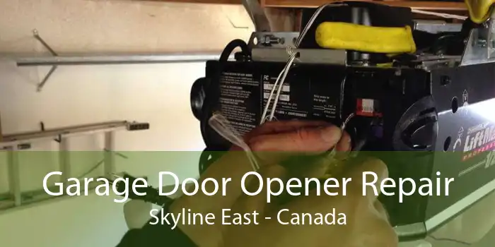 Garage Door Opener Repair Skyline East - Canada