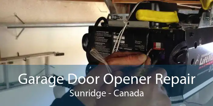Garage Door Opener Repair Sunridge - Canada