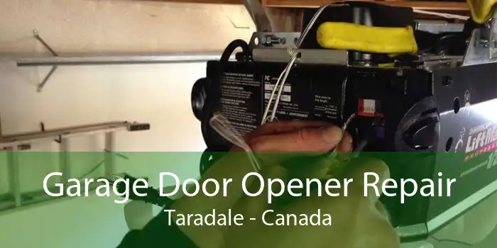 Garage Door Opener Repair Taradale - Canada