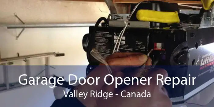 Garage Door Opener Repair Valley Ridge - Canada
