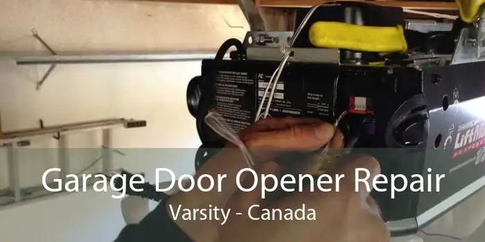 Garage Door Opener Repair Varsity - Canada