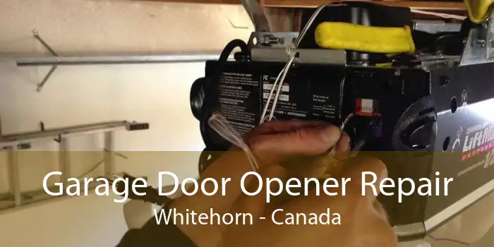 Garage Door Opener Repair Whitehorn - Canada
