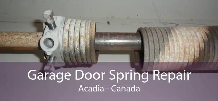 Garage Door Spring Repair Acadia - Canada