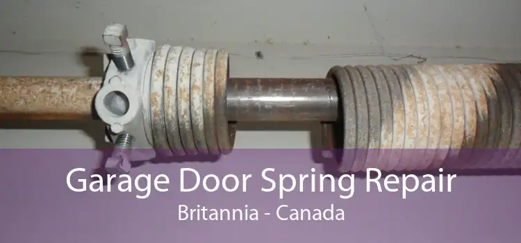 Garage Door Spring Repair Britannia - Canada