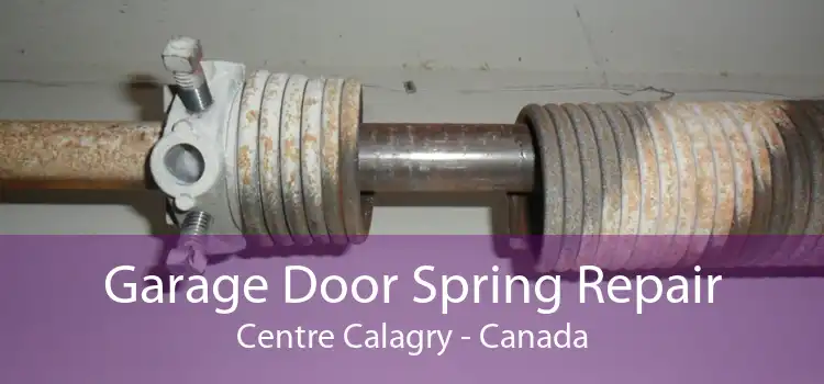 Garage Door Spring Repair Centre Calagry - Canada