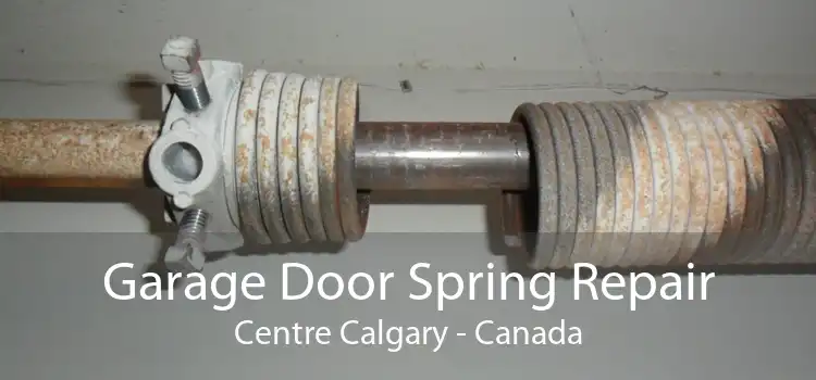 Garage Door Spring Repair Centre Calgary - Canada