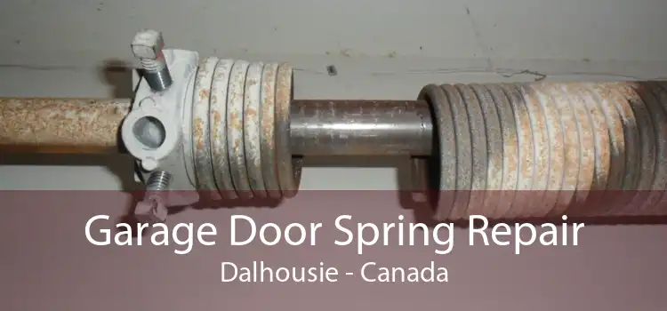 Garage Door Spring Repair Dalhousie - Canada