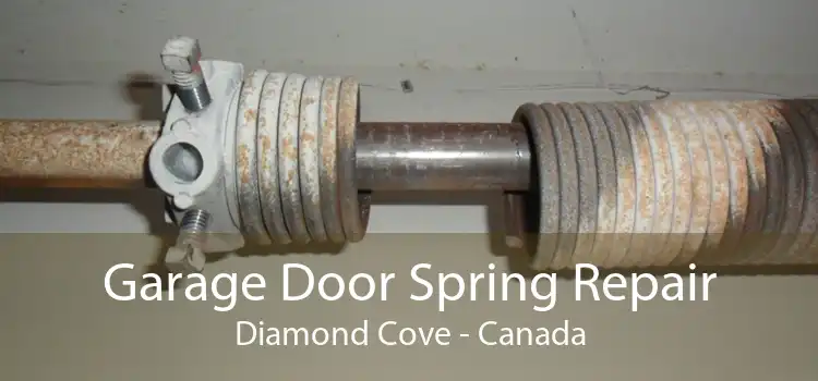 Garage Door Spring Repair Diamond Cove - Canada
