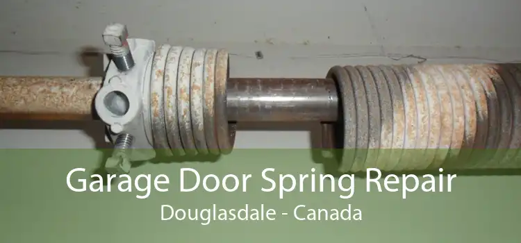 Garage Door Spring Repair Douglasdale - Canada
