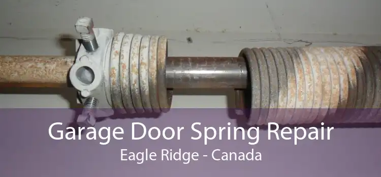 Garage Door Spring Repair Eagle Ridge - Canada