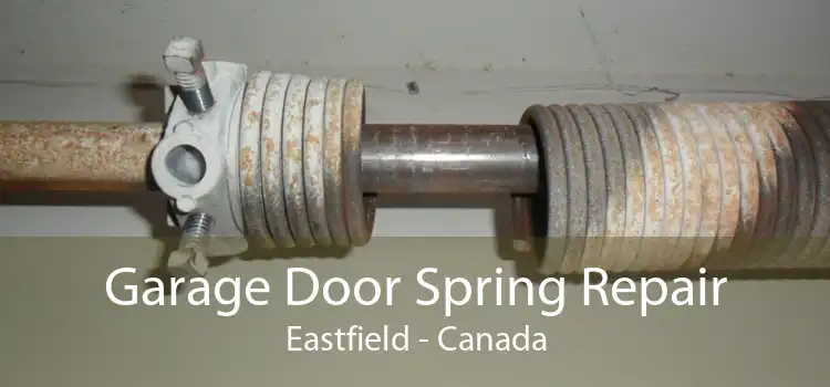 Garage Door Spring Repair Eastfield - Canada
