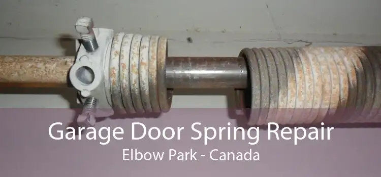 Garage Door Spring Repair Elbow Park - Canada