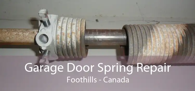 Garage Door Spring Repair Foothills - Canada