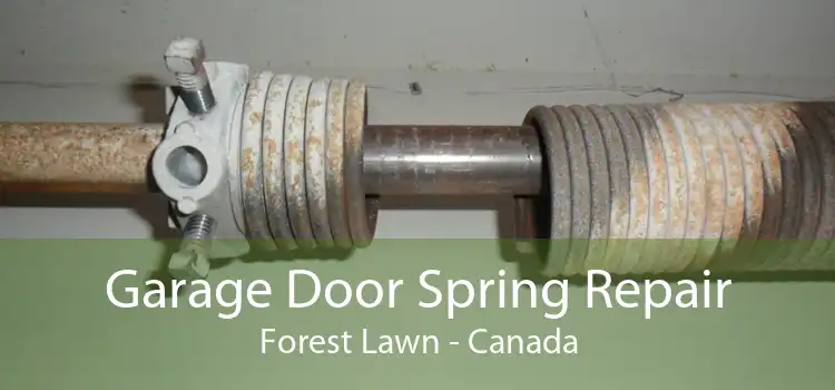 Garage Door Spring Repair Forest Lawn - Canada