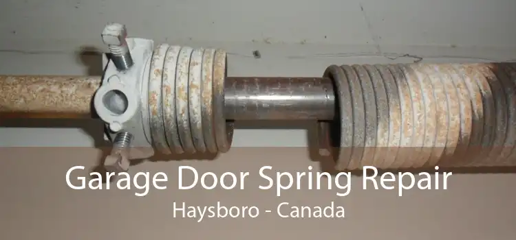 Garage Door Spring Repair Haysboro - Canada