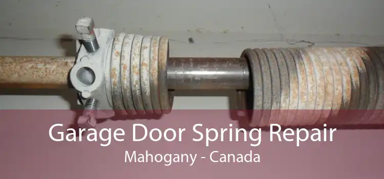Garage Door Spring Repair Mahogany - Canada