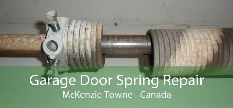 Garage Door Spring Repair McKenzie Towne - Canada