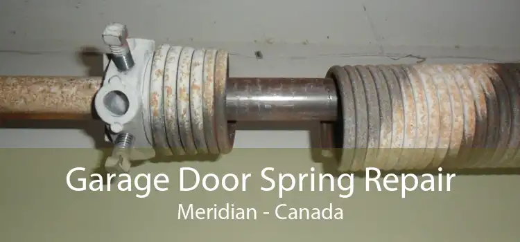 Garage Door Spring Repair Meridian - Canada