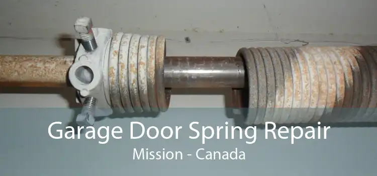 Garage Door Spring Repair Mission - Canada