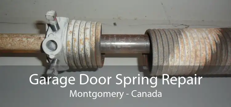 Garage Door Spring Repair Montgomery - Canada