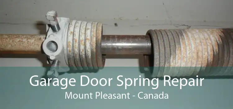 Garage Door Spring Repair Mount Pleasant - Canada
