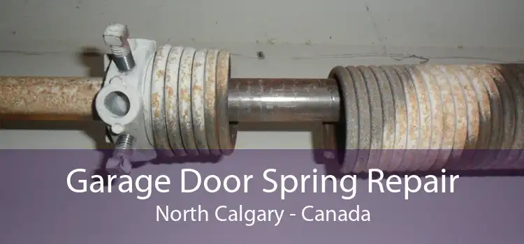 Garage Door Spring Repair North Calgary - Canada