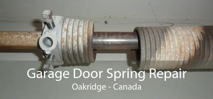 Garage Door Spring Repair Oakridge - Canada