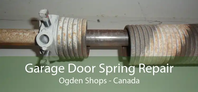 Garage Door Spring Repair Ogden Shops - Canada